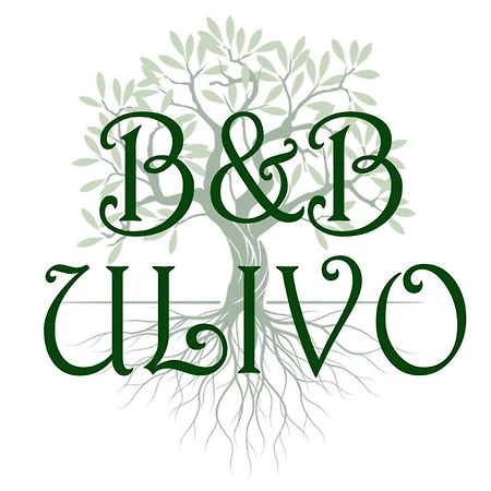 Ulivo Bed & Breakfast Трапани Екстериор снимка